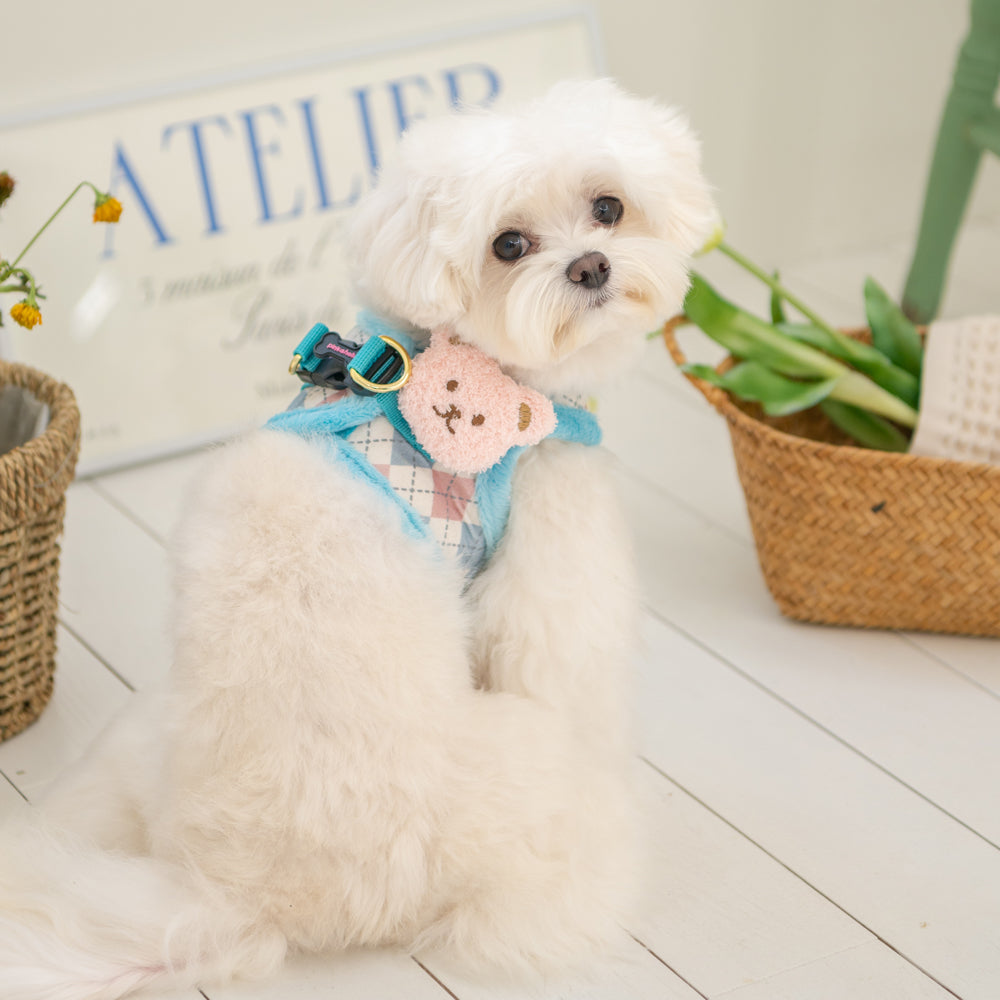 Arnés para perros pequeños con diseño cómodo y cálido, disponible en Poodle Toy Fam Shop