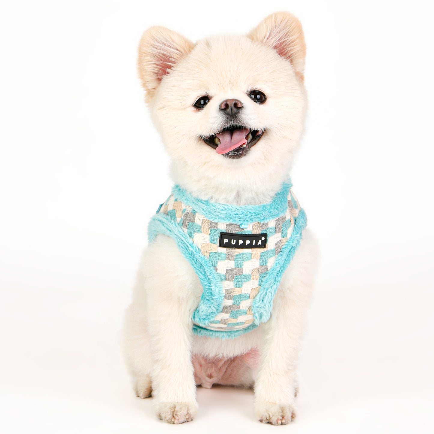 Chihuahua usando el arnés Arden de Puppia, mostrando el ajuste ergonómico y cómodo para razas pequeñas.