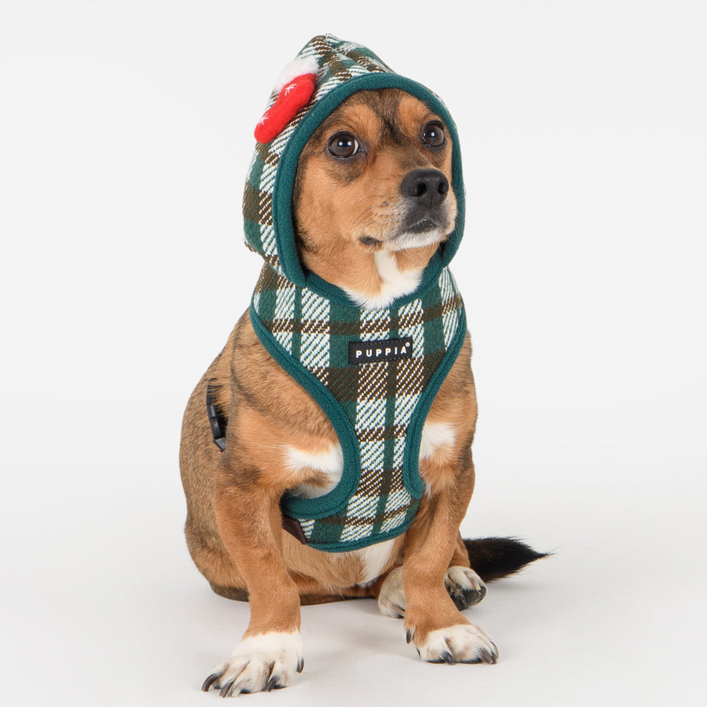 Arnés Douglas Puppia con capucha y ajuste perfecto, mostrando cómo se adapta cómodamente al cuerpo de tu perro, asegurando protección y estilo durante el paseo.