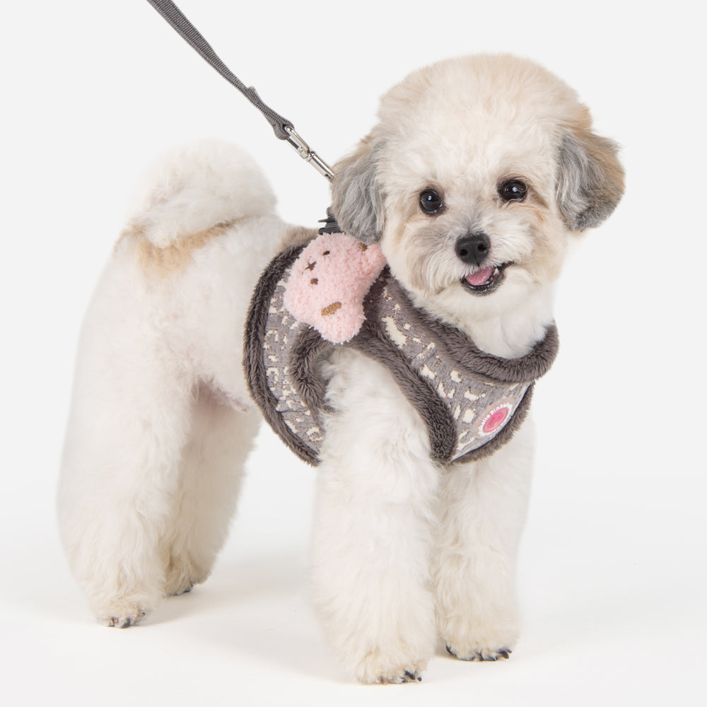 Perro usando el Arnés Chaleco Tailsy Pinkaholic, ajustado perfectamente para garantizar seguridad y comodidad durante el paseo.