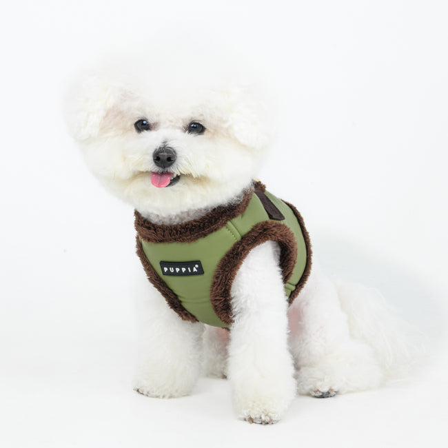 Poodle toy usando el arnés chaleco Wynter de Puppia con forro polar, perfecto para razas pequeñas.