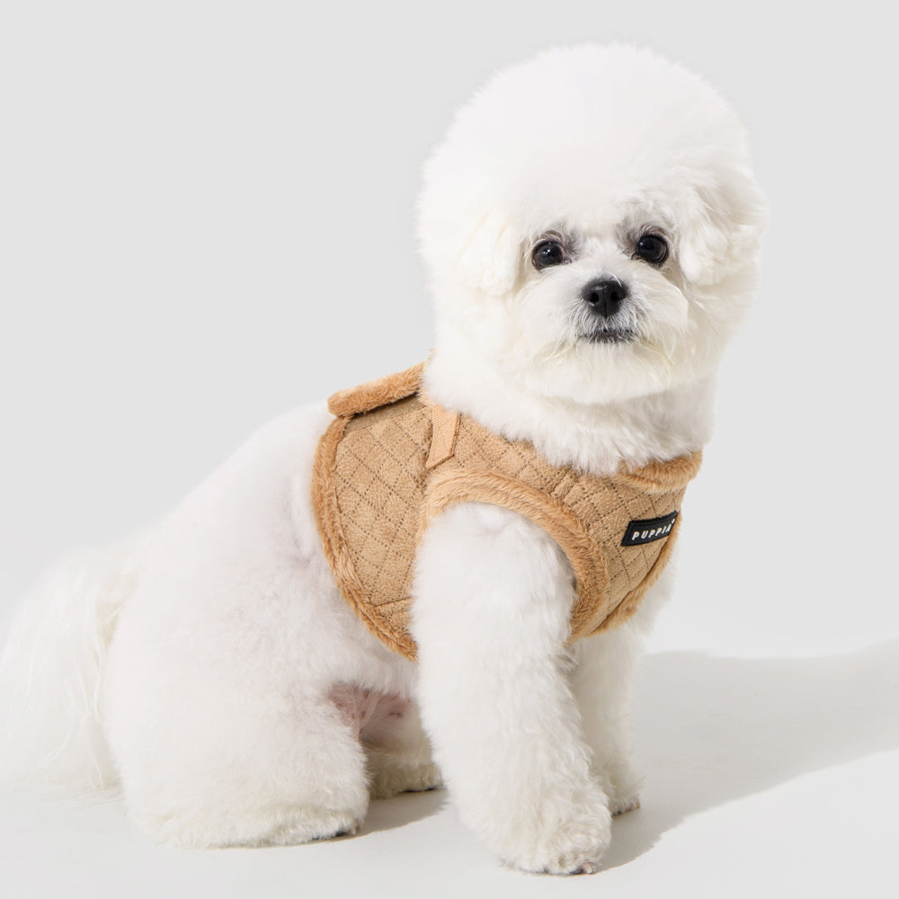 Perro pequeño luciendo el arnés chaleco Douglas Puppia en color marrón, ideal para paseos en otoño e invierno con estilo y confort.