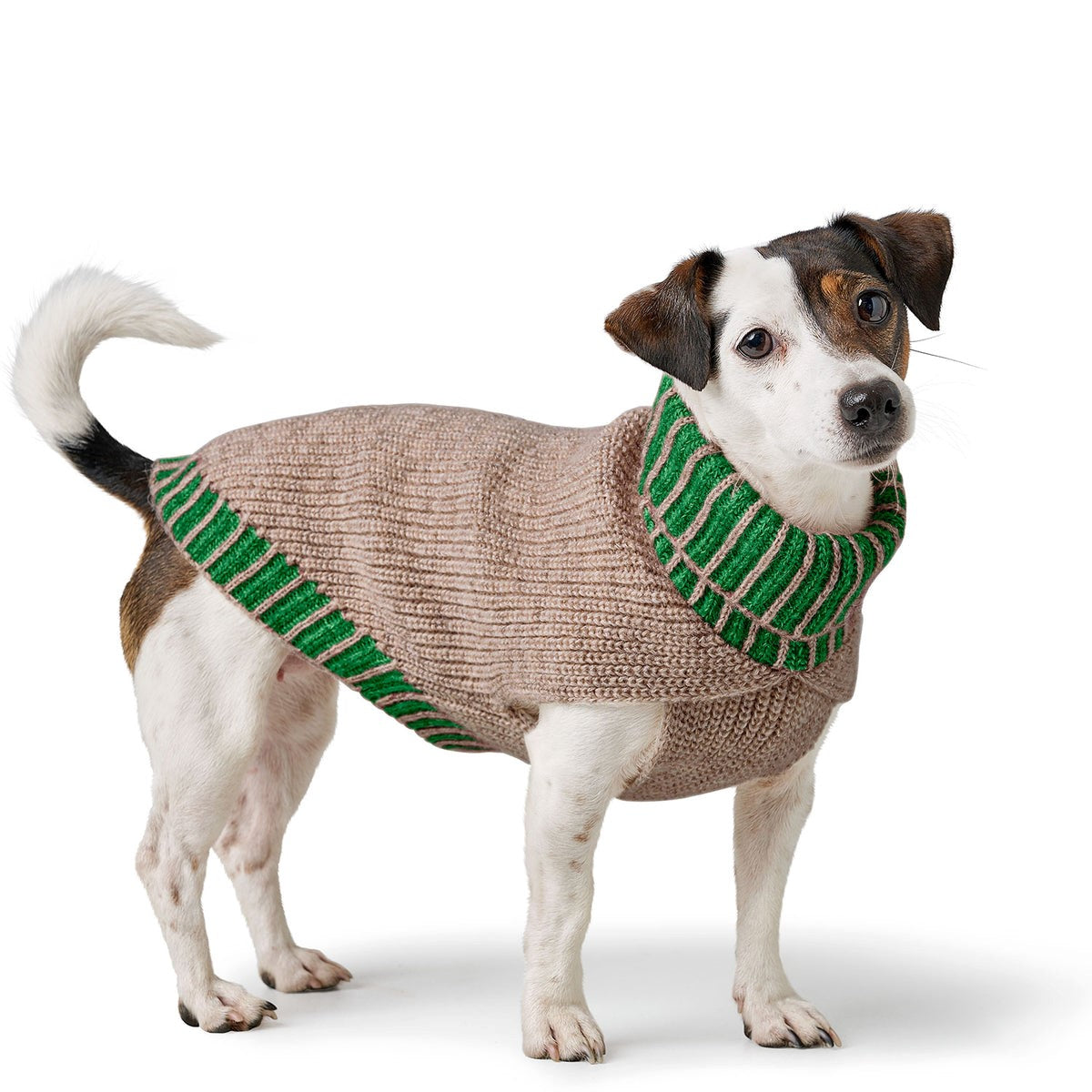 El conjunto Hunter brinda calidez y comodidad a tu perro y a ti, ideal para paseos y actividades al aire libre en invierno