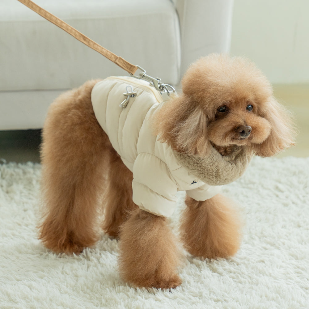 Perro pequeño usando la Chaqueta Marshmallo Puppia, mostrando su diseño ajustable y cuello de pelo suave para días fríos.