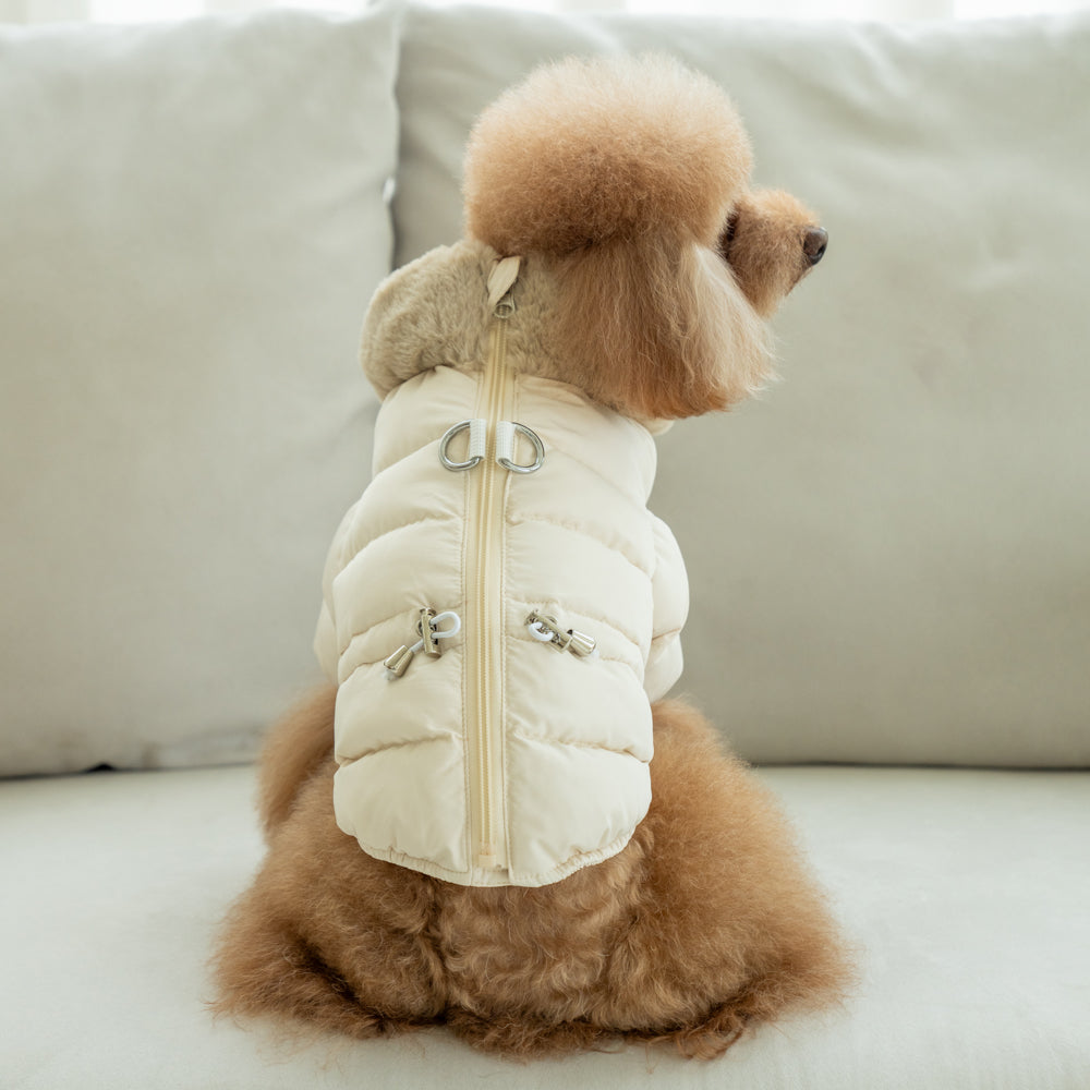 Perro de tamaño mediano con la Chaqueta Marshmallo Puppia, mostrando su capacidad de ajuste perfecto y comodidad.
