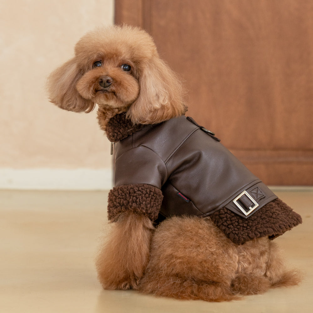 Perro pequeño luciendo elegante con la Chaqueta Soft Leather Puppia.