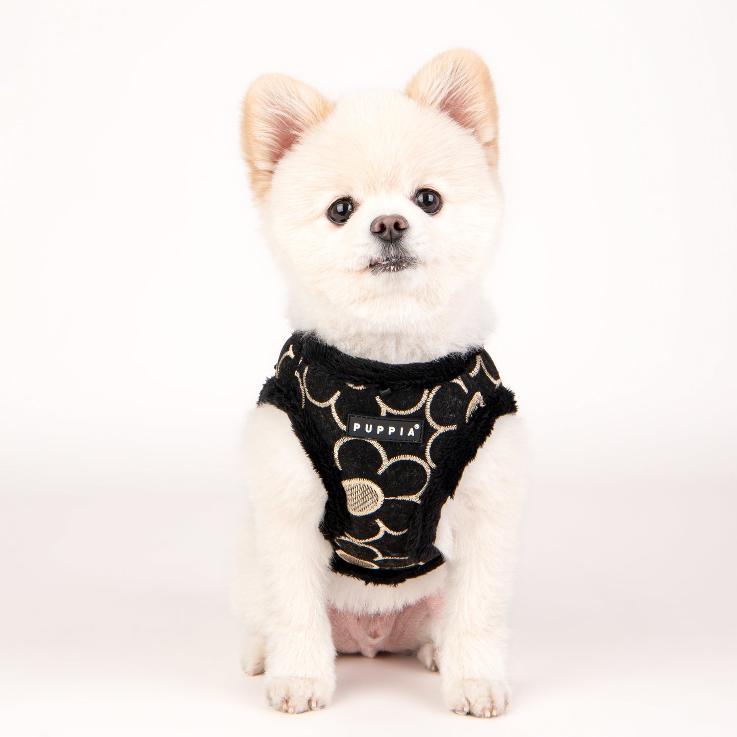 Perro usando el arnés chaleco Florent Puppia, destacando su diseño ergonómico y moderno.