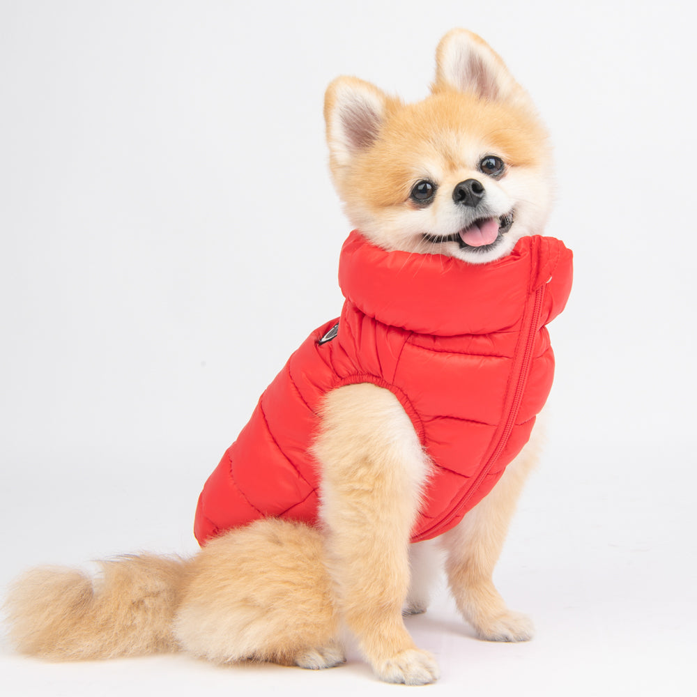 Perro pequeño disfrutando con la Chaqueta Ultralight A Puppia. Su material liviano y el diseño elegante permiten total movilidad y protección contra el frío.