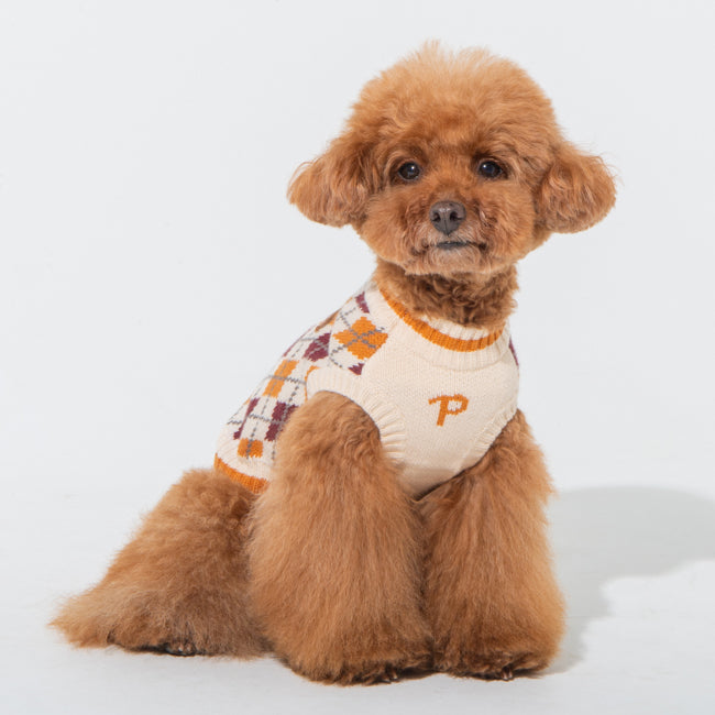 Jersey para perros Gizmo Puppia, con un diseño moderno y elegante que mantiene a tu mascota a la moda mientras la protege del frío.
