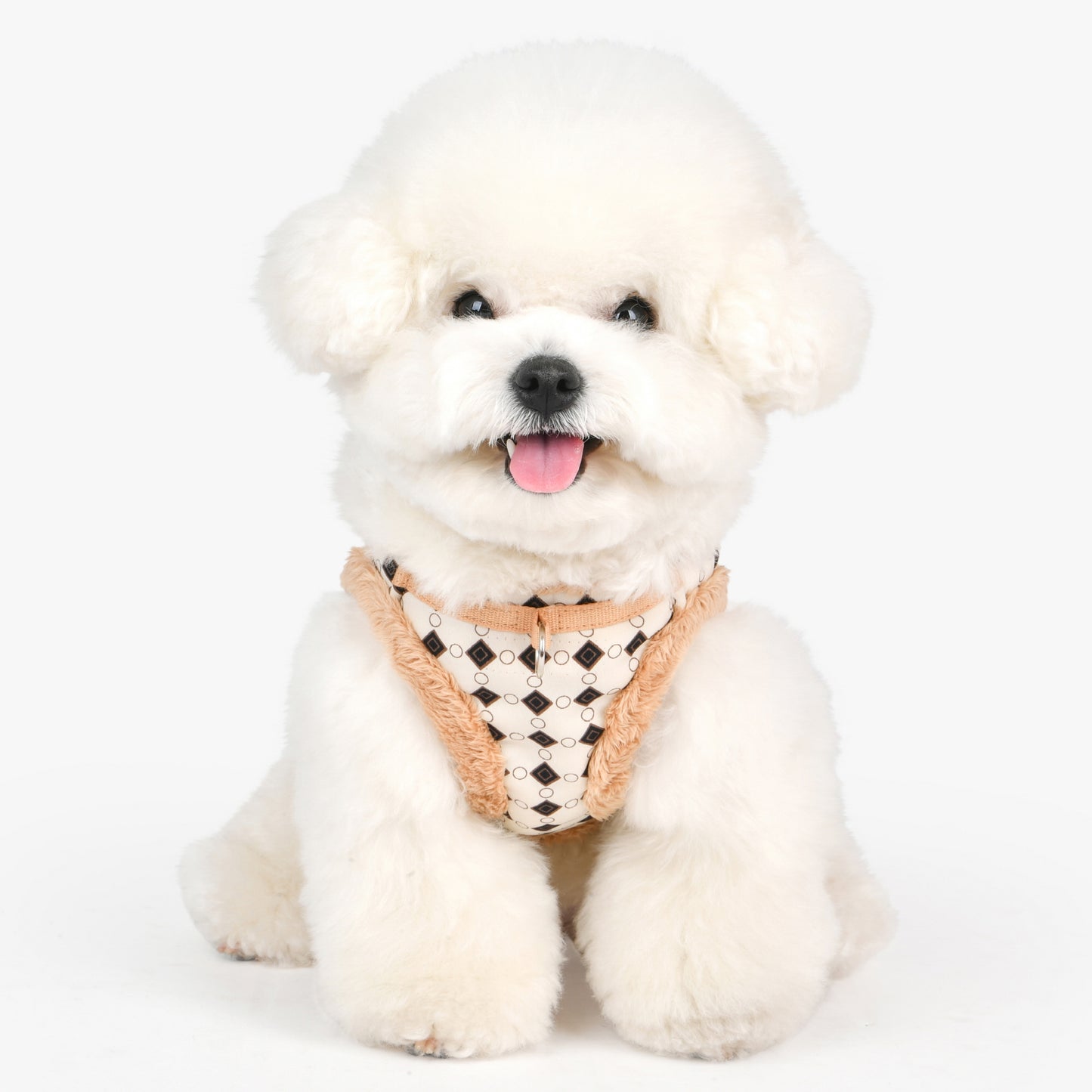 Perro pequeño con el arnés chaleco Puppia, demostrando cómo su diseño ergonómico asegura un ajuste cómodo y libertad de movimiento.