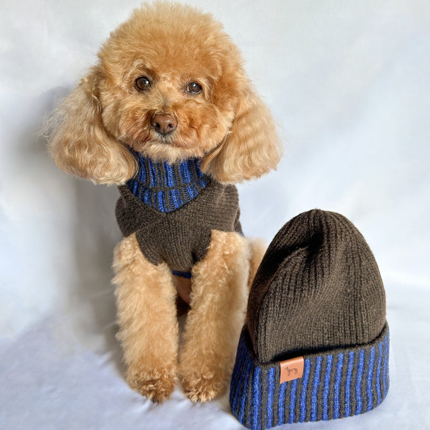 Jersey y gorro a juego para perros y humanos, con cuello alto para mayor protección contra el frío, disponible en colores navideños.