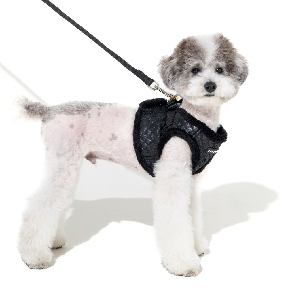 Perro pequeño con el arnés chaleco Douglas Puppia, destacando su diseño moderno y funcional.