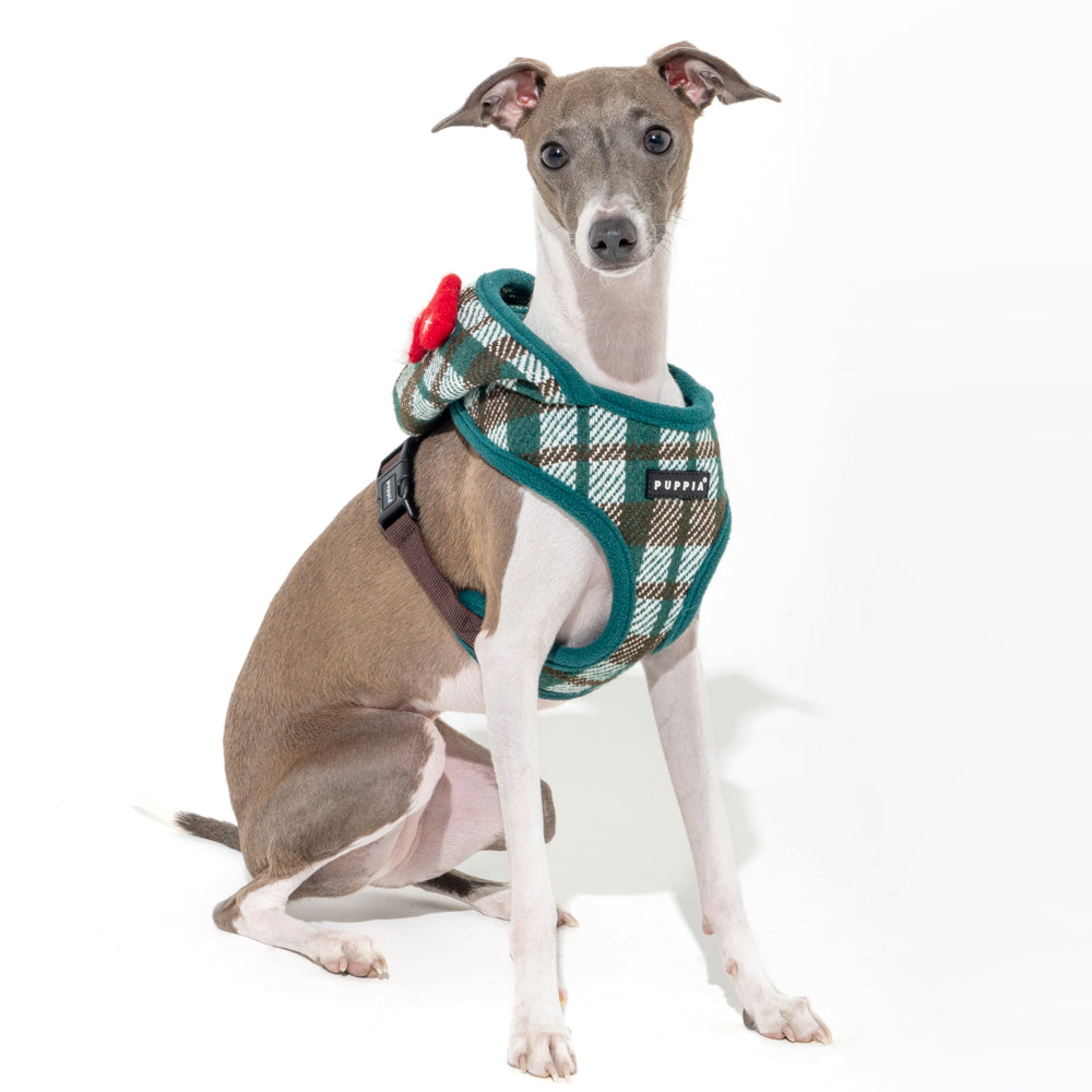 Arnés Douglas Puppia con diseño moderno y capucha, perfecto para perros pequeños y medianos que necesitan mantenerse abrigados sin perder estilo.