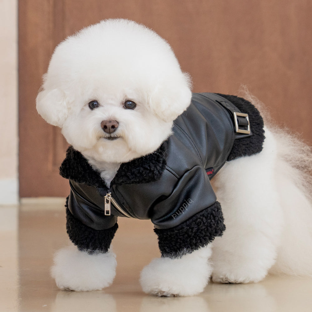 Perro de tamaño mediano disfrutando de un paseo en invierno con la Chaqueta Soft Leather Puppia, mostrando su estilo moderno y comodidad en cada paso.