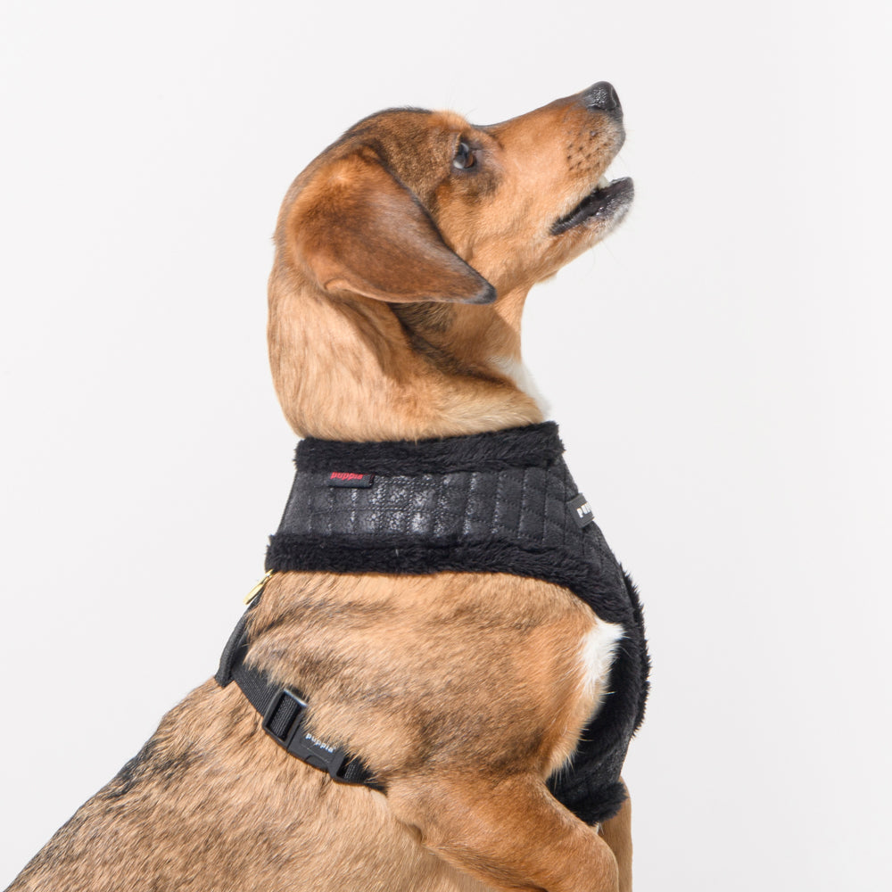 Arnés Douglas Puppia, que no solo ofrece comodidad y funcionalidad, sino que también mantiene a tu perro elegante durante sus paseos en invierno.