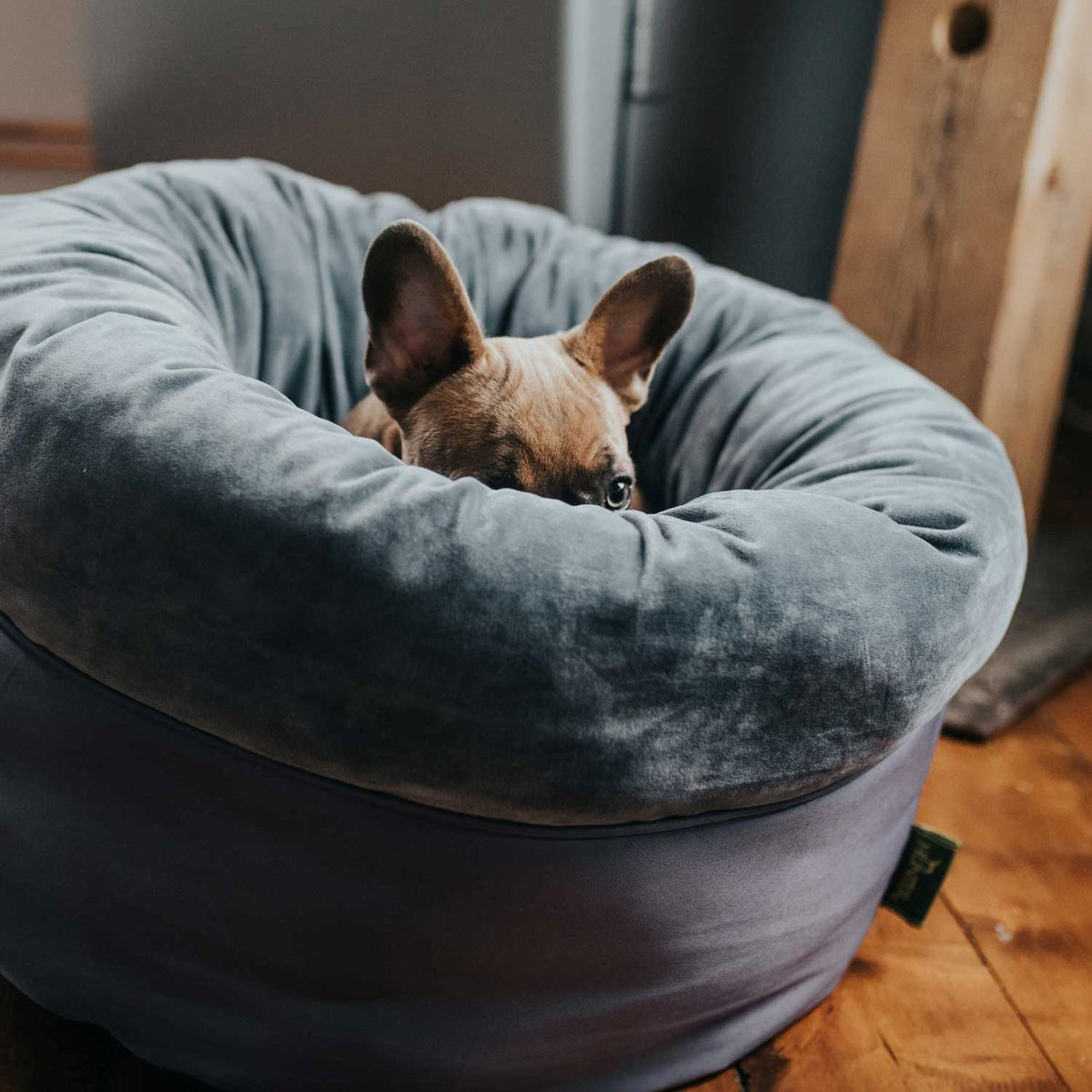 Interior suave y envolvente de la Cama Miranda de Hunter, perfecto para perros que disfrutan acurrucarse.