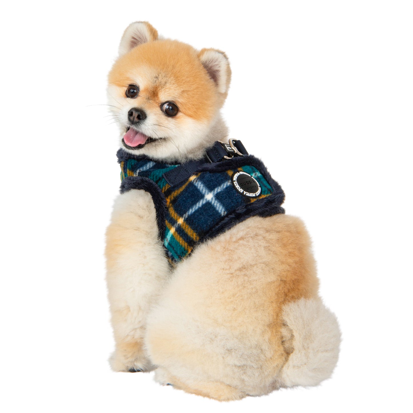 Perro cómodo y abrigado con el Arnés Chaleco Norman de Puppia, ideal para mantenerlo protegido durante el frío.
