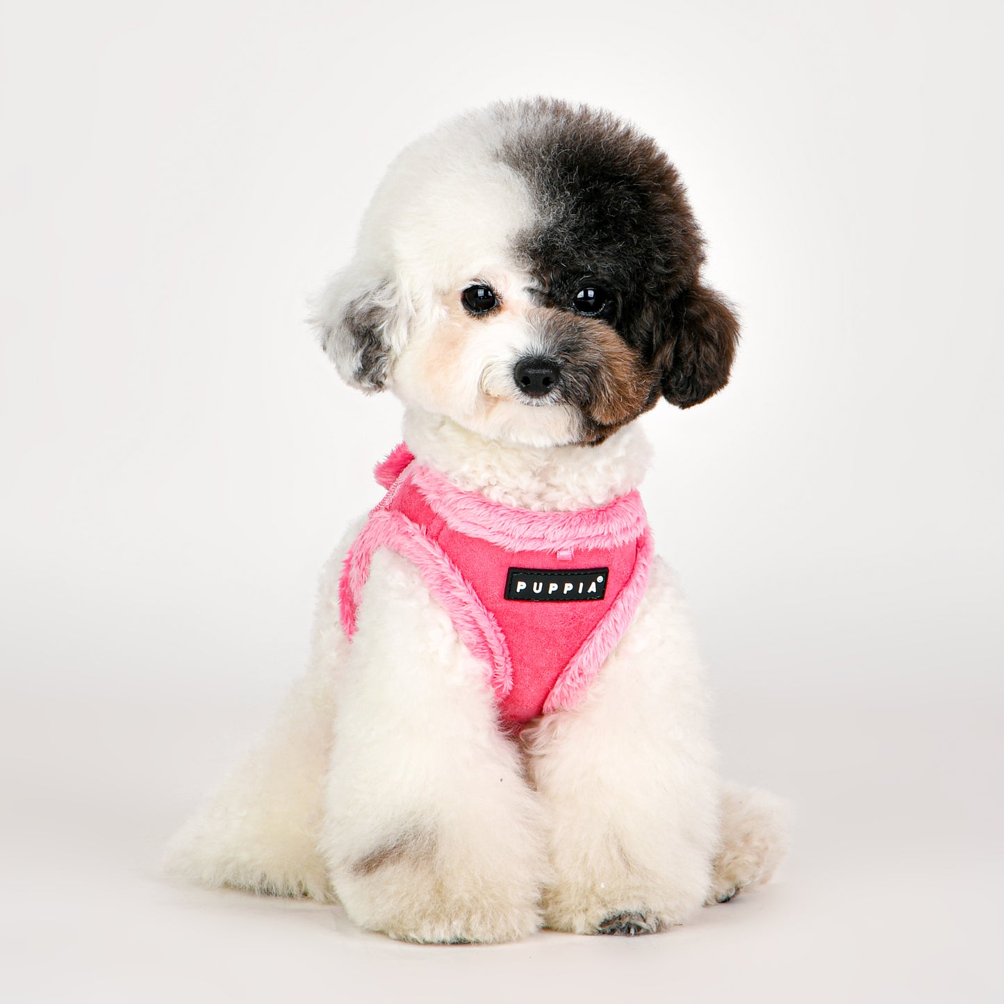 Perro con el Arnés Chaleco Terry Puppia, ideal para mantenerlo cómodo y abrigado durante los paseos en otoño e invierno.