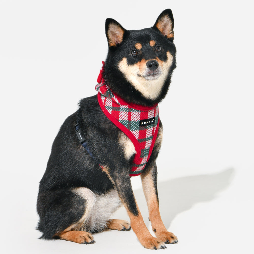 Perro disfrutando de un paseo invernal con el Arnés Douglas Puppia, mostrando su capucha suave y diseño moderno para protegerlo del frío con estilo.