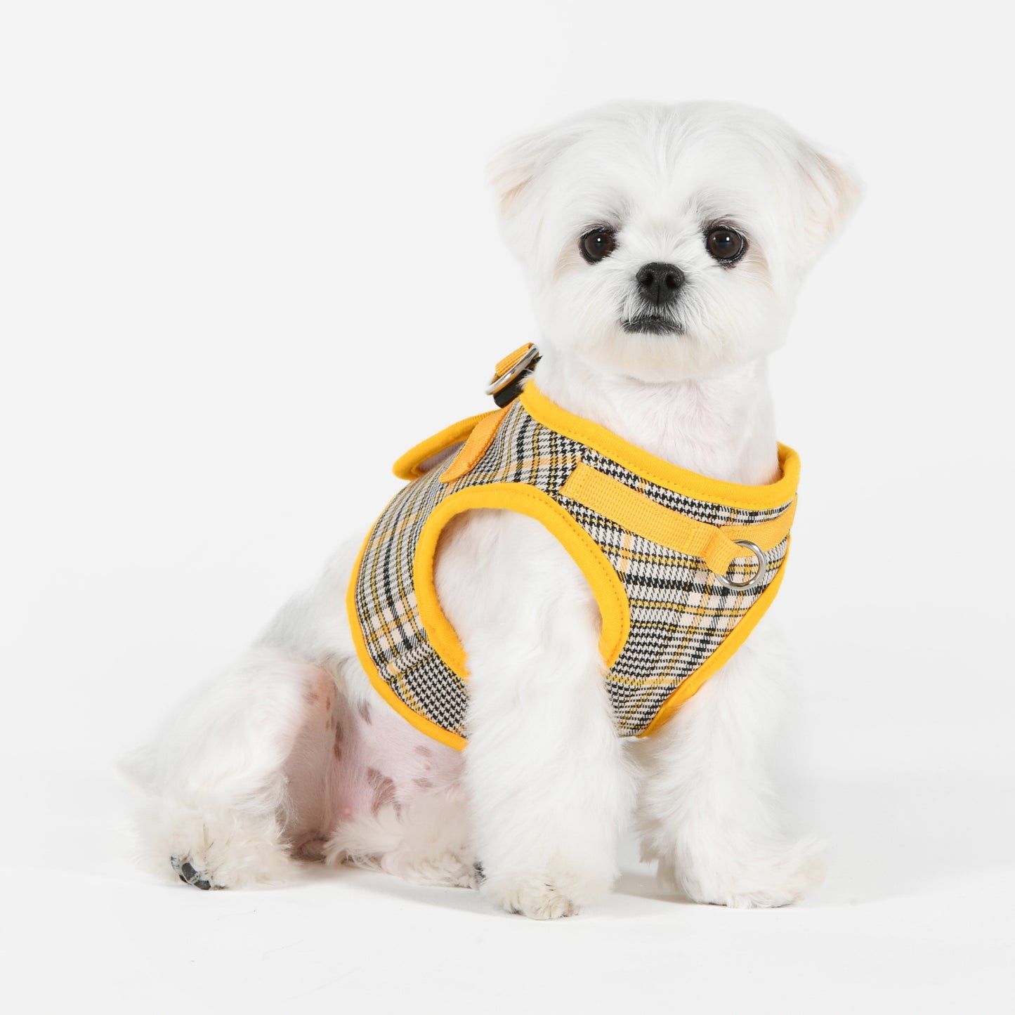 Perro pequeño usando el Arnés Lucas Puppia, perfecto para paseos cómodos y seguros.