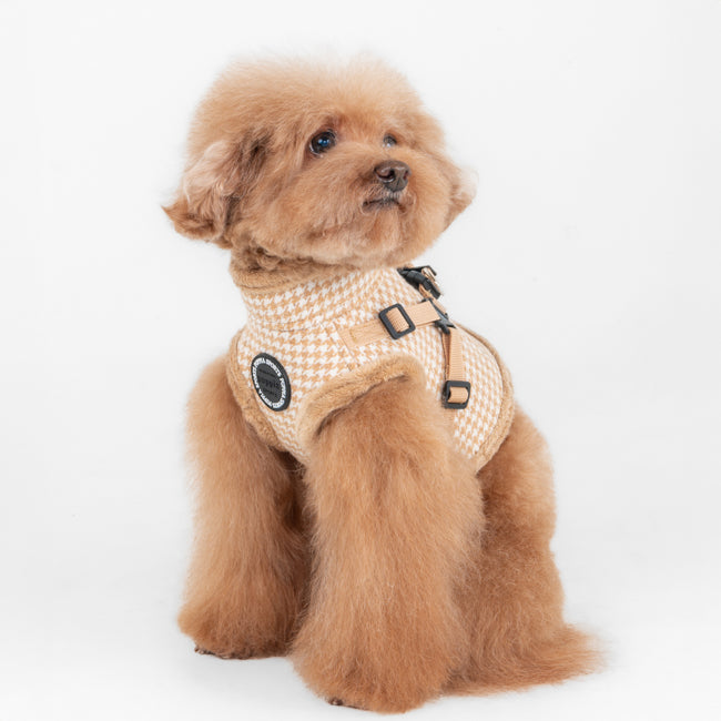 Poodle toy luciendo el arnés chaqueta Chic Hound de Puppia, ideal para razas pequeñas con estilo.
