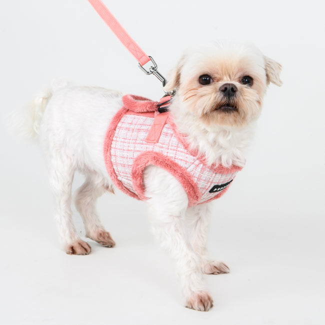 Conjunto completo de arnés chaleco y correa Oscar Puppia en color coordinado para perros pequeños.
