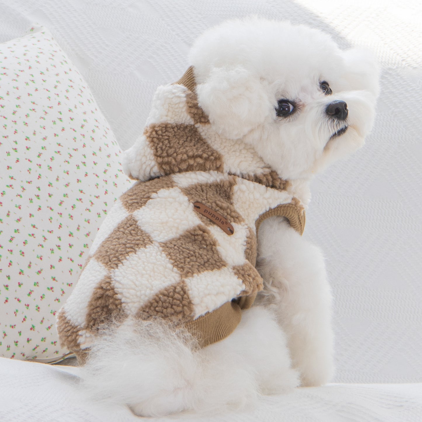 Jersey Luca Puppia para perros, disponible en diferentes tallas para perros pequeños y medianos, asegurando un ajuste perfecto.