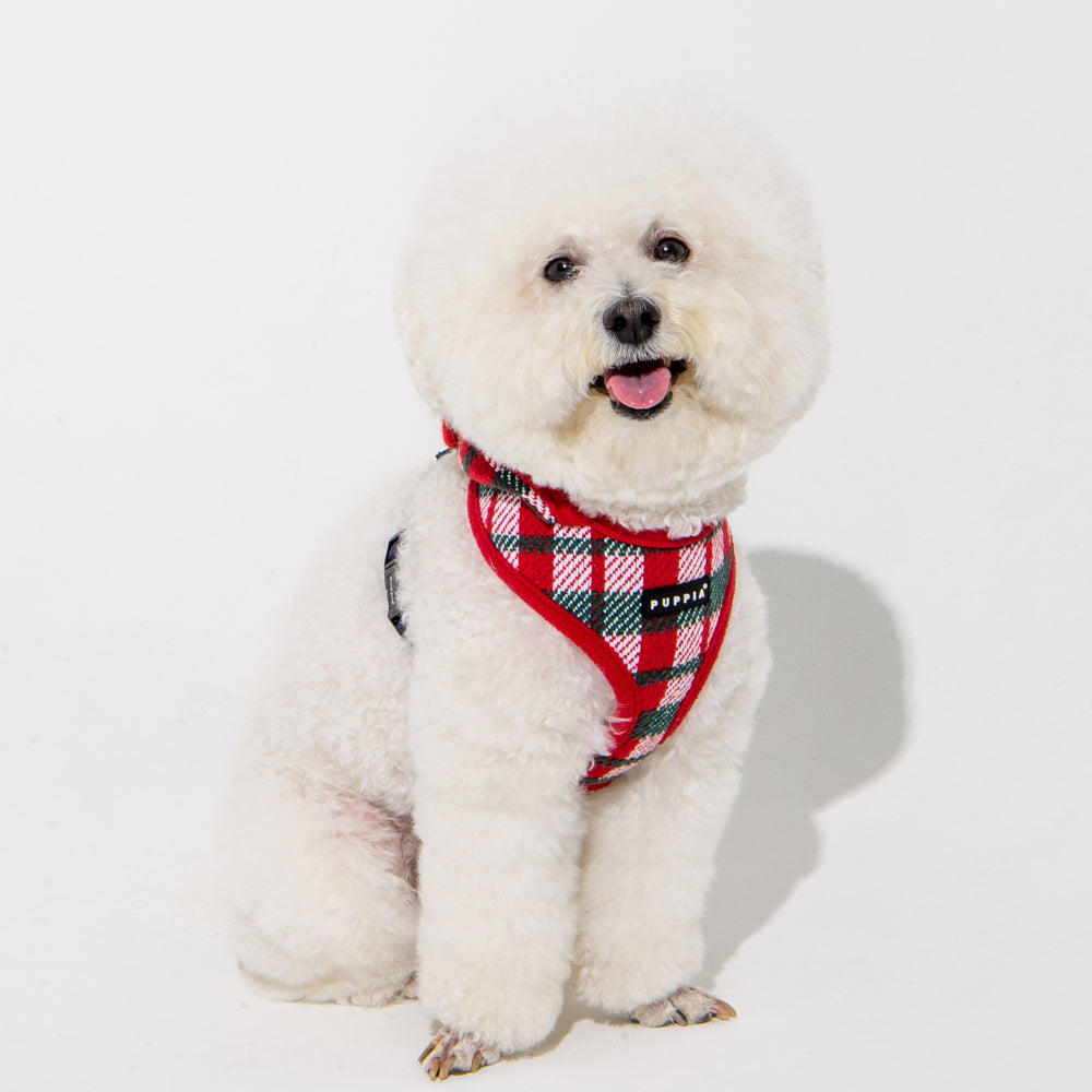 Arnés Festive Puppia