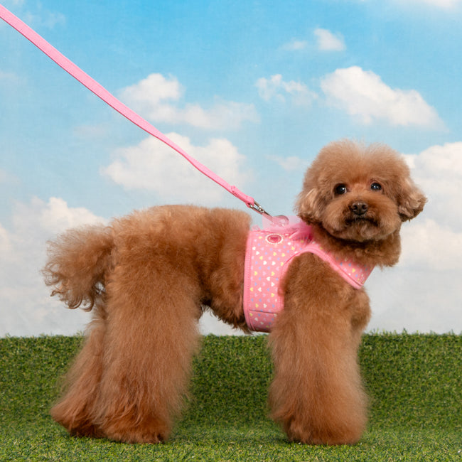 Arnés Mabel de Pinkaholic