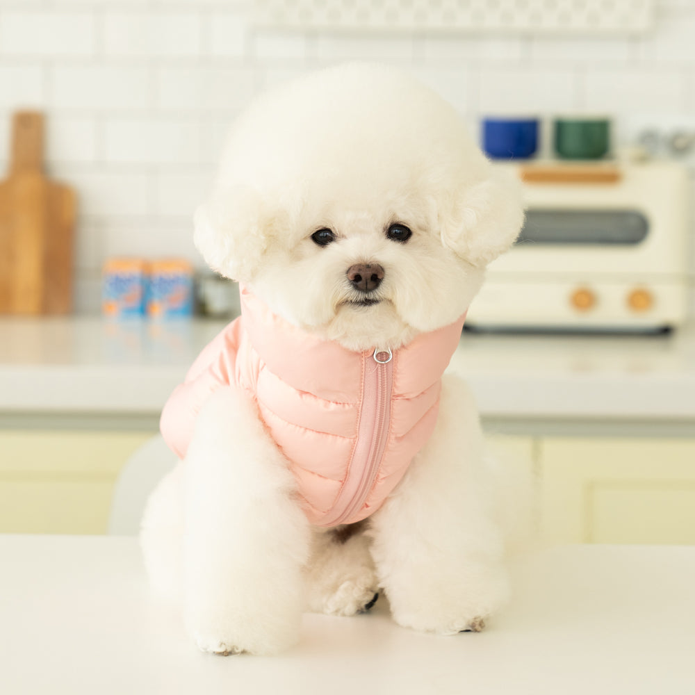 Chaqueta Heart Fluffy Puppia, ultraligera y resistente, diseñada para proteger a tu mascota mientras disfruta de paseos invernales.