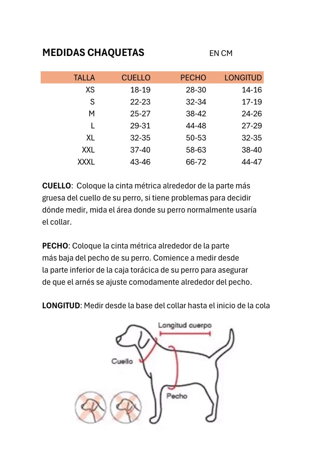 Guia de tallas y como medirlas