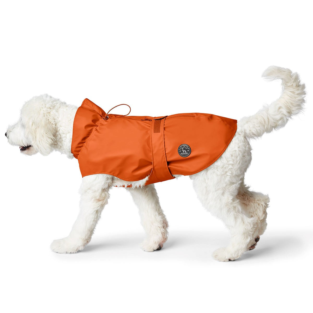 Un perro pequeño mientras luce el Chubasquero Milford de Hunter, destacando el ajuste perfecto y su diseño moderno.
