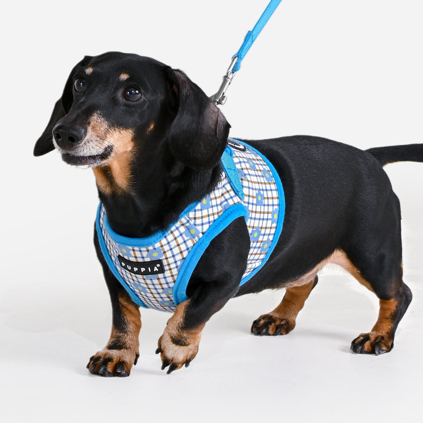 Arnés chaleco Westley de Puppia