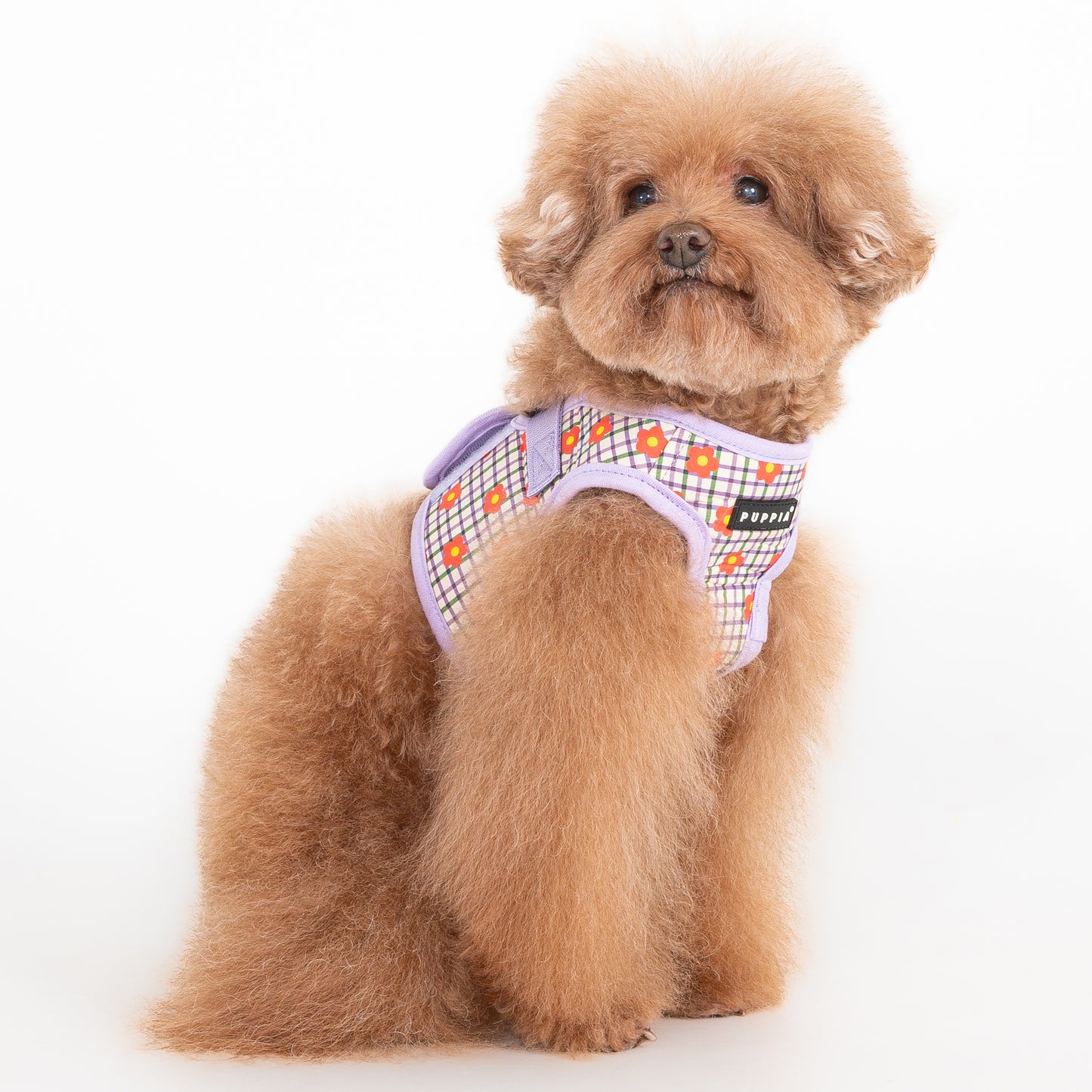 Arnés chaleco Westley de Puppia