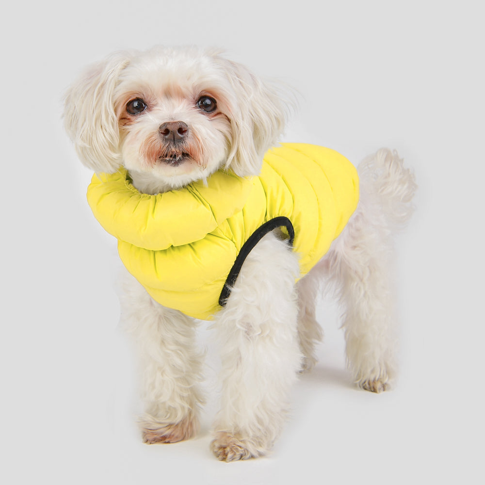 Chaqueta ultralight B Puppia