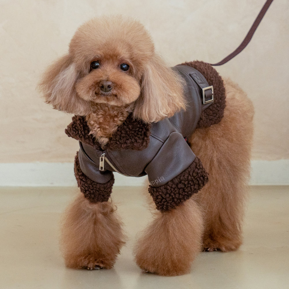 Chaqueta soft Leather Puppia